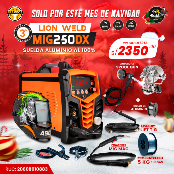 LION WELD 250 DX COMPLETA